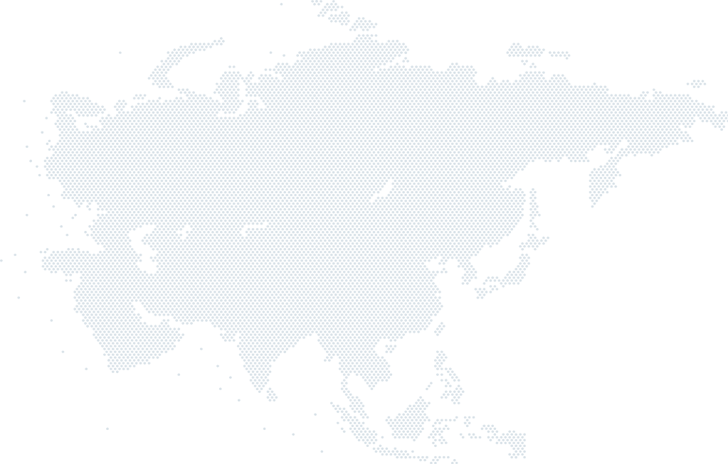 Borochi global service map